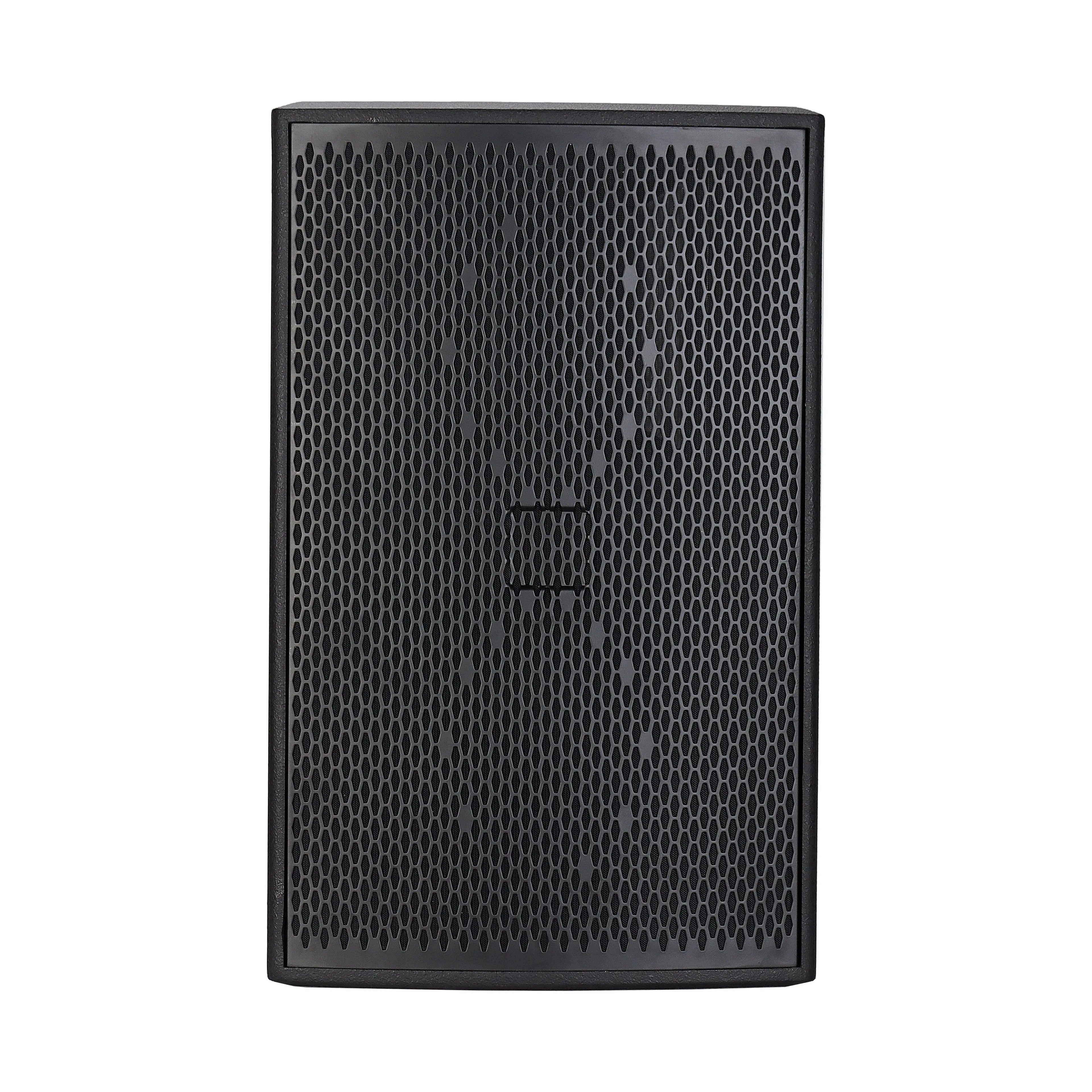 TR10 Professional 10" Indoor Karaoke Entertainment Speaker  Connected Passive Stage Wooden Audio System