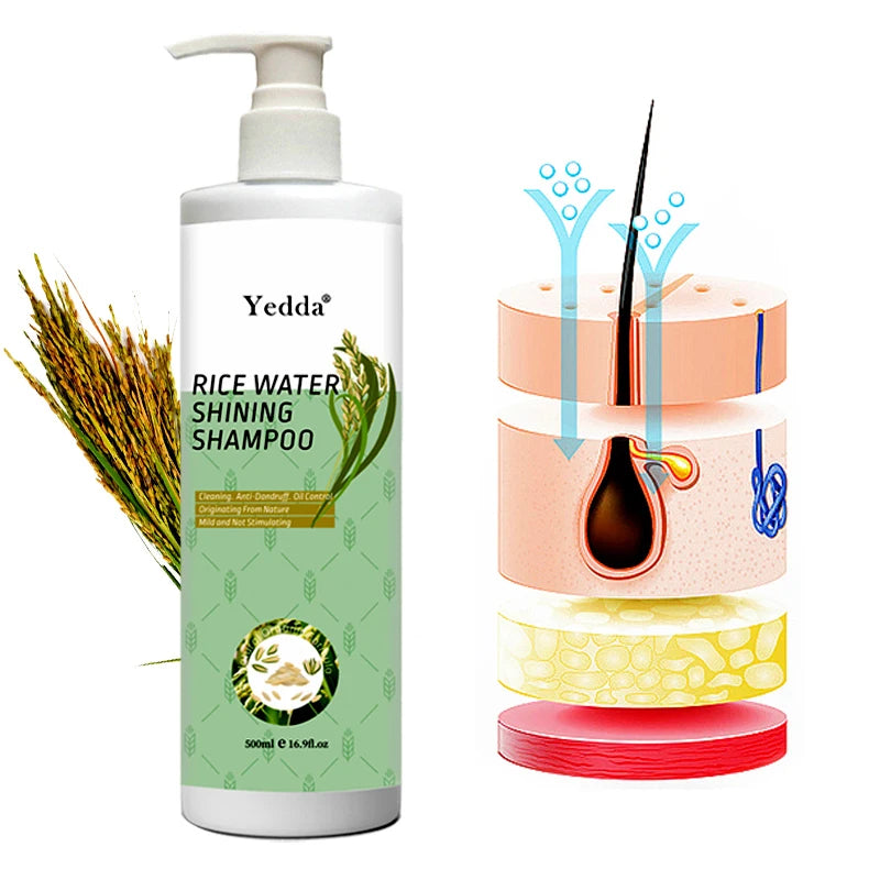 OEM/ODM Own Brand Organic Rice Shampoo and Conditioner - Anti-dandruff and Anti-frizz Formula - Herbal Concentrated Formula