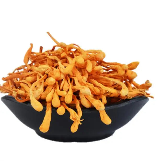 Premium Cordyceps Flowers New Dried Cordyceps Militaris Fruiting Body for Sale