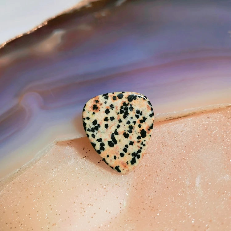 HZ Custom Logo Music Instruments Accessories Dalmation Jasper Guitar Picks Colorful
