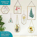 Customized with Your Design Customizable Double-Sided Hanging Glass Frame for Wall Decor with Pressed Dried Flowers Plants Pictures