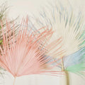 Dried Palm Leaf Colored Natural Palm Tree Leaf Bleached White Dried Colorful Palm Leaves for Wedding Room Cake Decoration
