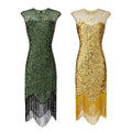 Women 1920s Flapper Fringed Sequin Dress Retro Roaring V Neck Vintage Beaded Evening Gatsby Dress for Women