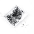 Factory Wholesale Premade Loose Fan Loose Lash Fans Loose Fans Eyelash Extensions