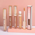 Liquid Concealer Long Lasting Private Label Waterproof Light Weight  Full Coverage Liquid Hydrating  Concealer