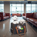Portable Pet Bag Handheld Breathable Outdoor Pet Carrier Bag for Cats & Dogs