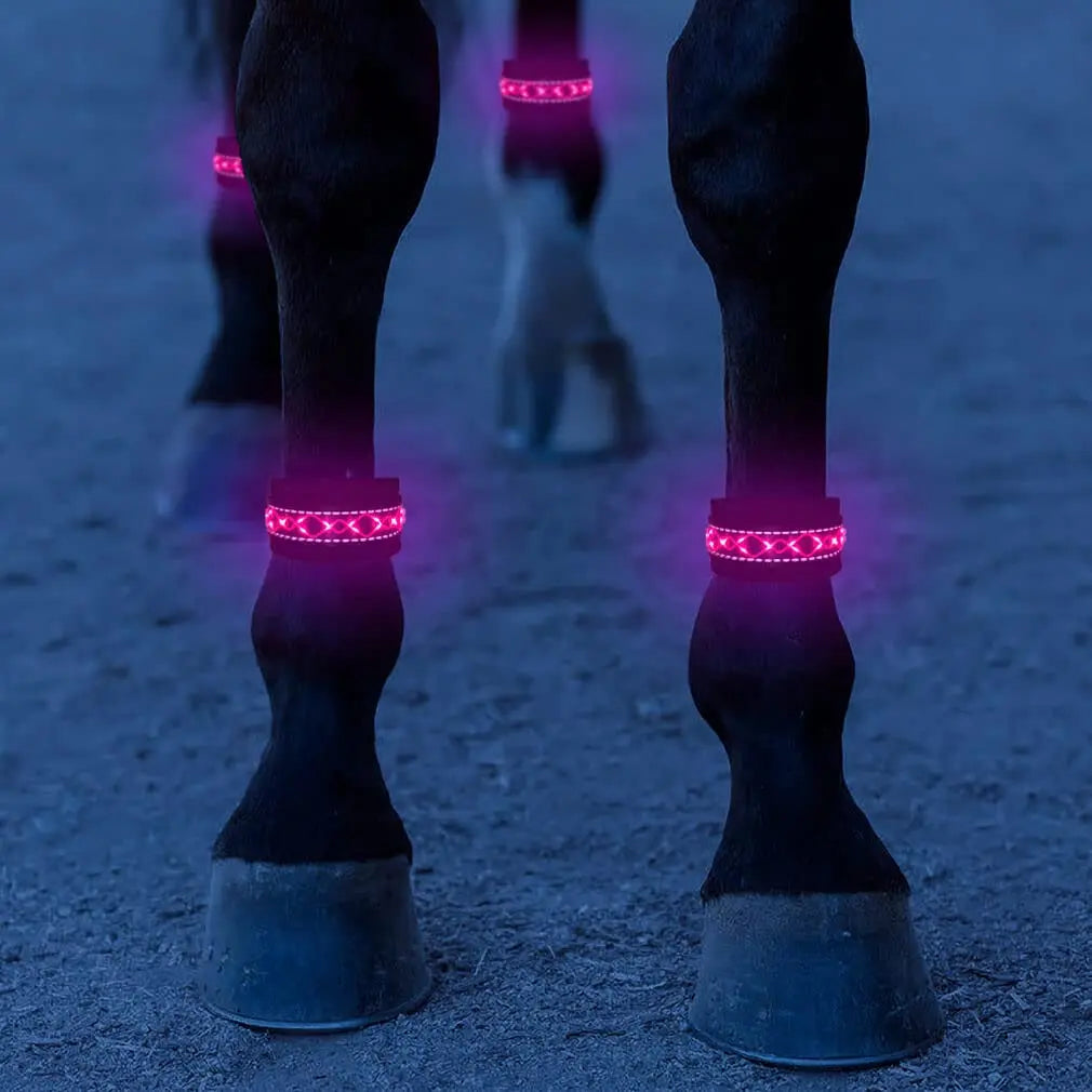 Glow in the Night Safty Warning Horse Band Horse Riding Accessories for Night Running Nylon Flashing Horses Accessories