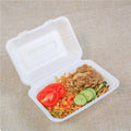 Sugarcane Bagasse Containers One Disposable for Meals Put logo Transparent Storage Lunch Box