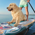 E-SUP Stand up Paddle Board Surfboard for Waterplay & Action Sports