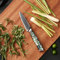 3.5 Inch Universal Kitchen Knife Vegetable Fruit Cutter 67 Layers VG10 Damascus Steel Paring Knife Little Kitchen Paring Knife