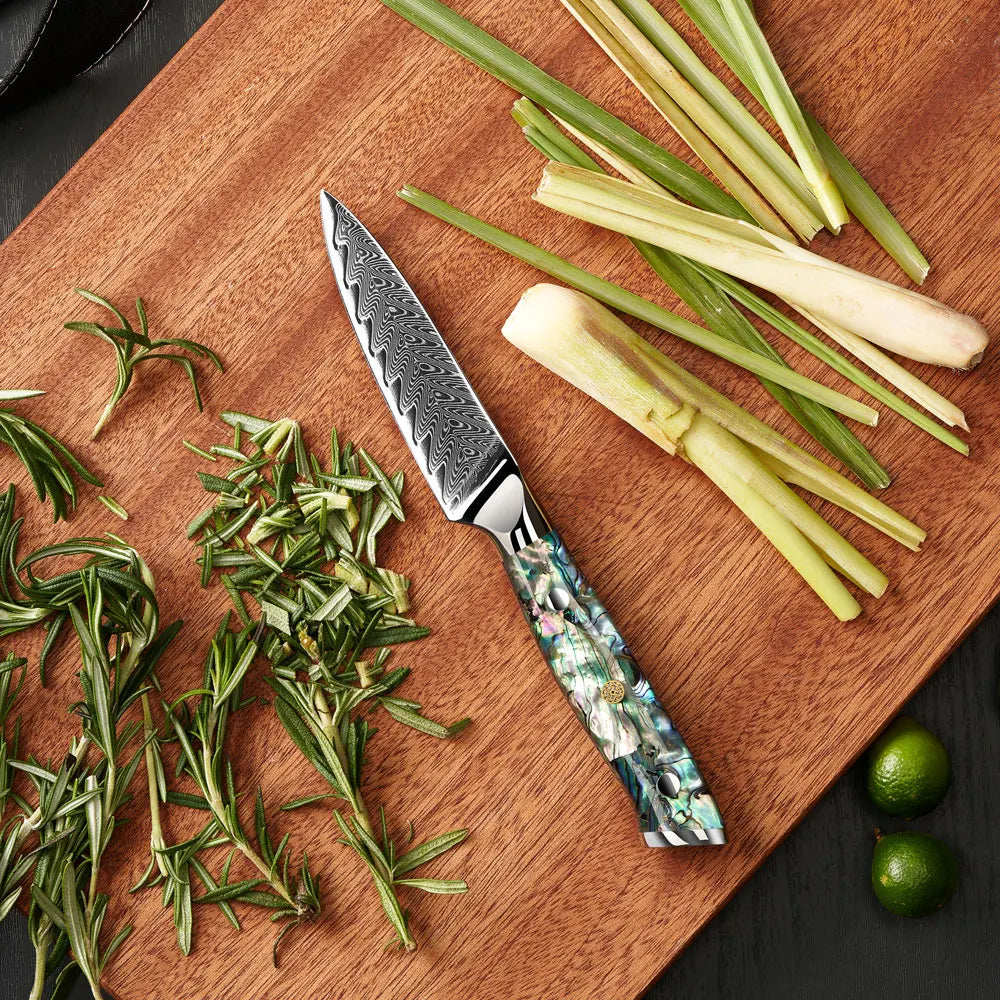 3.5 Inch Universal Kitchen Knife Vegetable Fruit Cutter 67 Layers VG10 Damascus Steel Paring Knife Little Kitchen Paring Knife