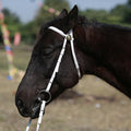 Wholesale Equestrian Western Waterproof Headstall Halter Durable Leather Rein Type Horse Equipment Racing Blue Model PC Plastic