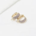 Fashion Women's Jewelry Earrings Accessories 14K Gold Plated Micro Paved Purple Zircon Round Hoop Earrings