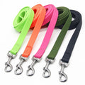 Flexible Swivel Carabiner Dog Training Leash PVC Coated Polyester Webbing Waterproof Nylon Plastic Rivet Decoration Solid