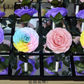 Florist Supplies Real Natural Flower Mirror Acrylic Flower Box Forever Eternal Preserved Roses for Gift