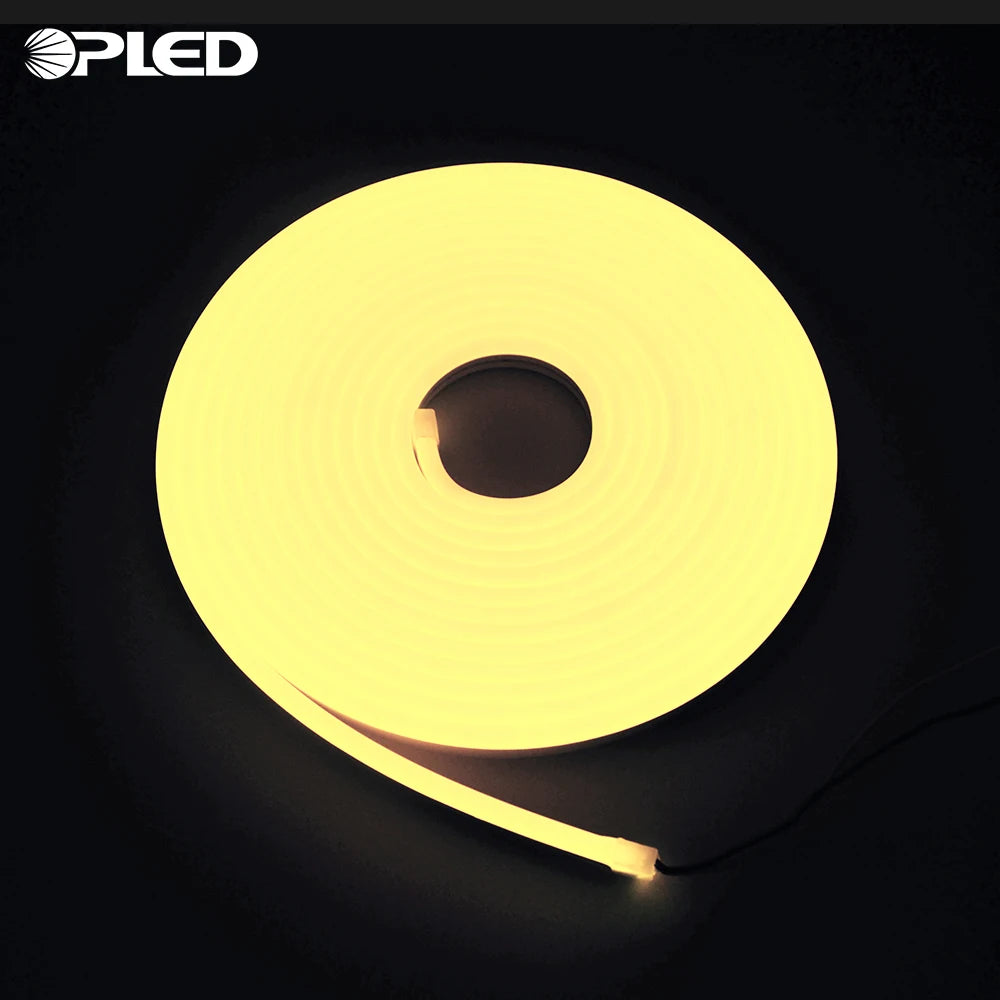 6mm Separated with Neon Led Tube Flexible Strip Rope Led Strip Neon Light