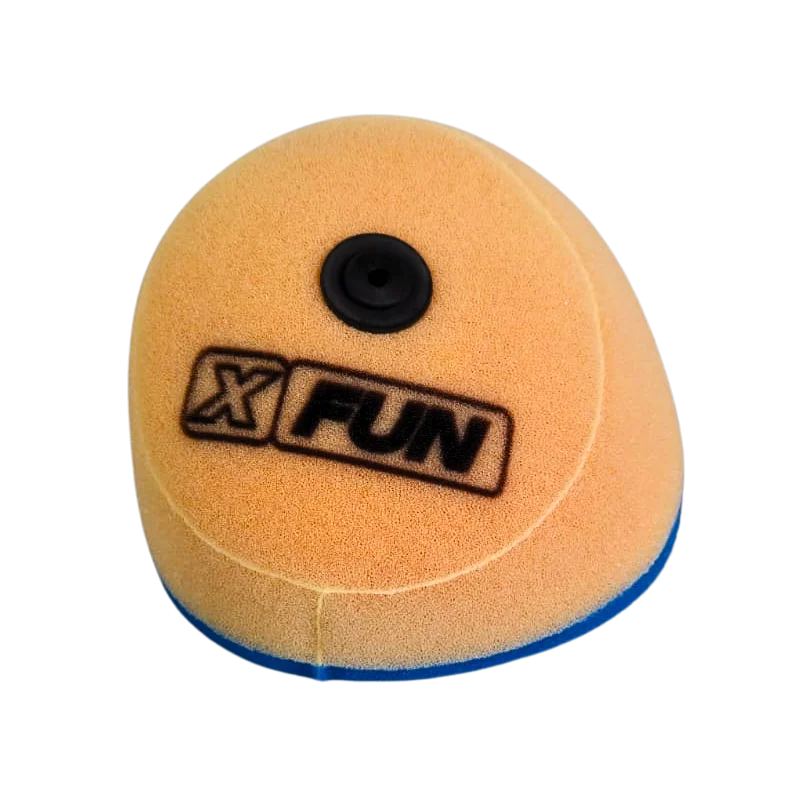 Beta RR 300 2013/2019 Air Filter