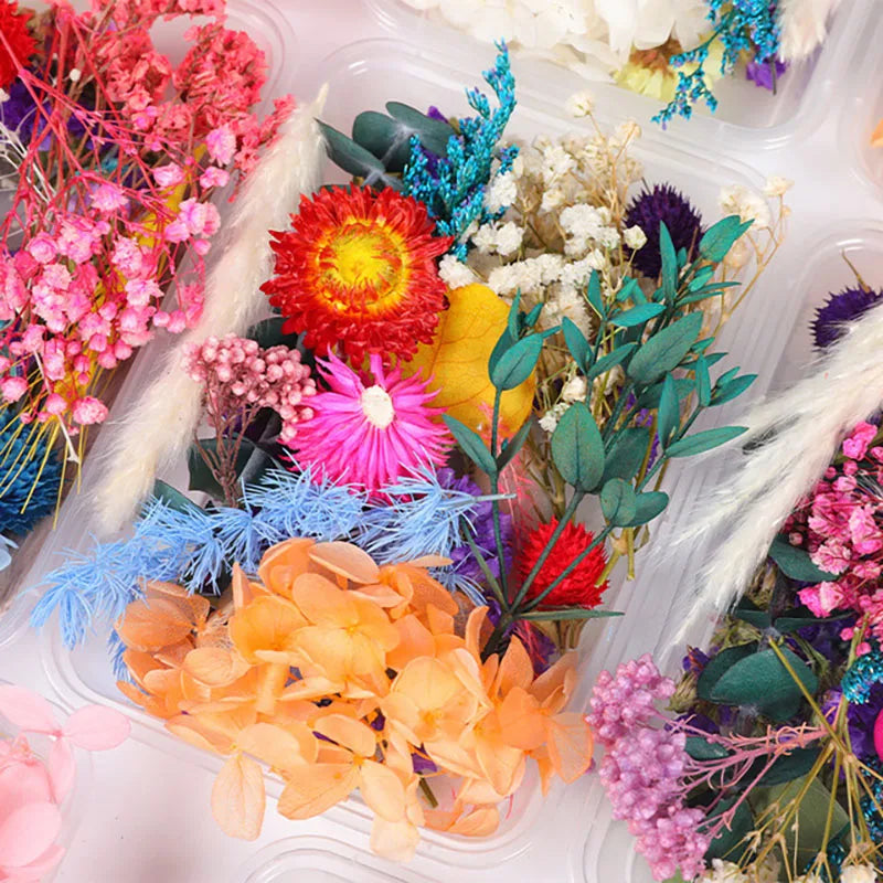 DIY Flowers Craft Decoration Mixed Color Box Internal Dry Plants Eco-Friendly Stocked Cake Tools Accessories Jewelry Frame