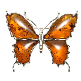 Natural Baltic Sea is not optimized for flower be wrong butterfly pendant brooch double wear