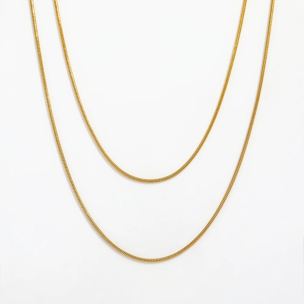 Fenny Wholesale 18K PVD Plated No Fade Fast Delivary Versatile Fine Double Layer Snake Chain Stainless Steel Necklace for Women