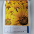 Sails Advertising PVC Roll up Banner PP Display Banner for Roll up Stand
