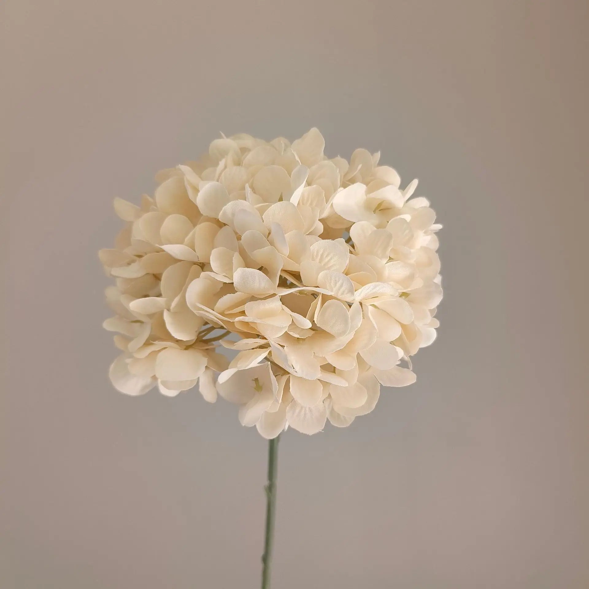 Single Hydrangea Silk Head with Stem New Release for Thanksgiving Wedding Valentine's Day or Mother's Day Decoration