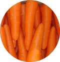 Best Quality of Frozen Carrot Dice or Slices for Hot Sales