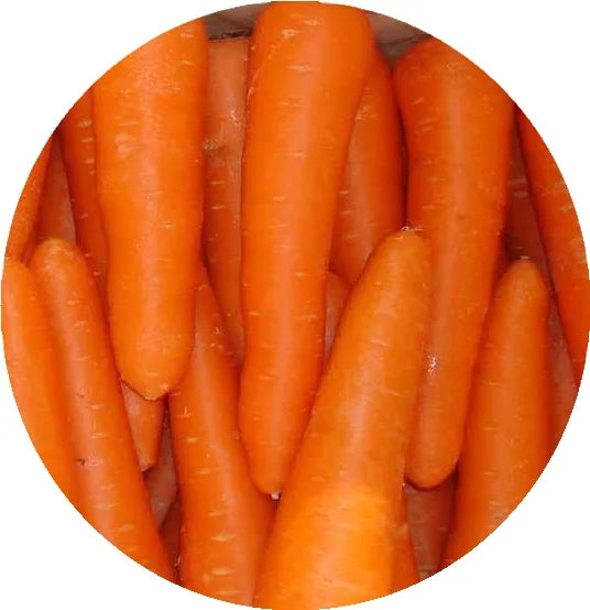 Best Quality of Frozen Carrot Dice or Slices for Hot Sales