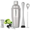 Stainless Steel 6 Piece 24oz Martini bartender kit