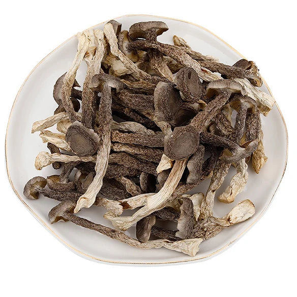 Huaran Yulin Guangxi China Agricultural Products Wholesale Long Shape Dried Deer Antler Mushroom for Food
