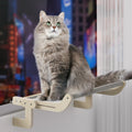 Pet Tower Big Cats Hamocks Wall Mounted Wooden Tree Climbing Scratch Multiple Accessories Cat Window Perching Hammock Bed