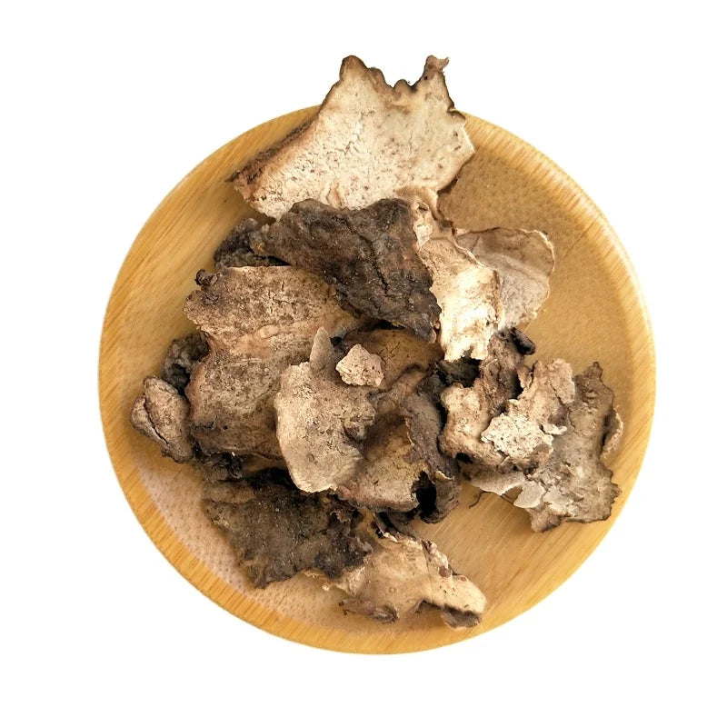 Fuling Pi Traditional Indian Bread Skin Tuckahoe Peel Poria Cocos Shell for Herb