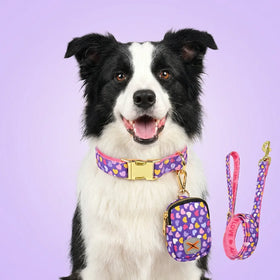 MIDEPET Custom Luxury Dog Necklace Collar Polyester/Nylon Alloy Print Quick Release Ribbons Good New Year Valentine's Day Gift