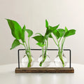 Creative Transparent Minimalist Glass Vase Wall Vase for Desktop Flower Decoration