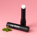 Vegan Fruit Flavor Moisturizing Lip Balm Original Beeswax Lip Care Lip Repair Stick Private Label
