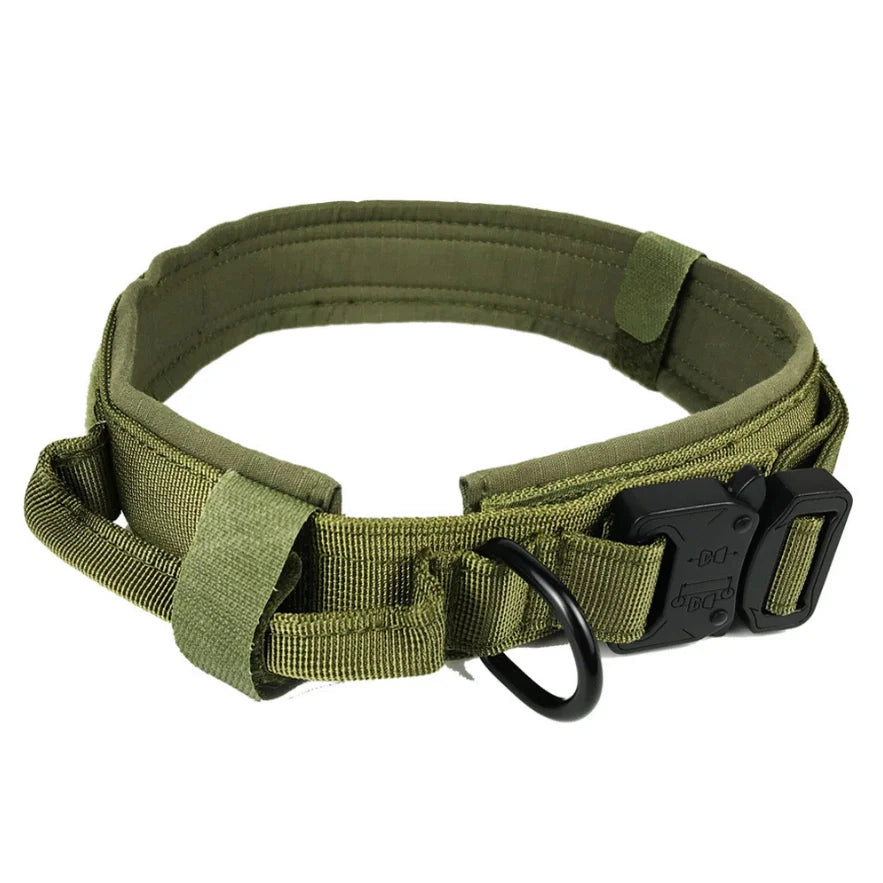 Kingtale Metal Buckle Belt Dog Collar Heavy Duty Dog Collar Heavy Duty
