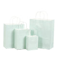 Brand New Exquisite Personalised Water Green Eco Recyclable Kraft Paper Bags for Promotion Screen Printed Customizable