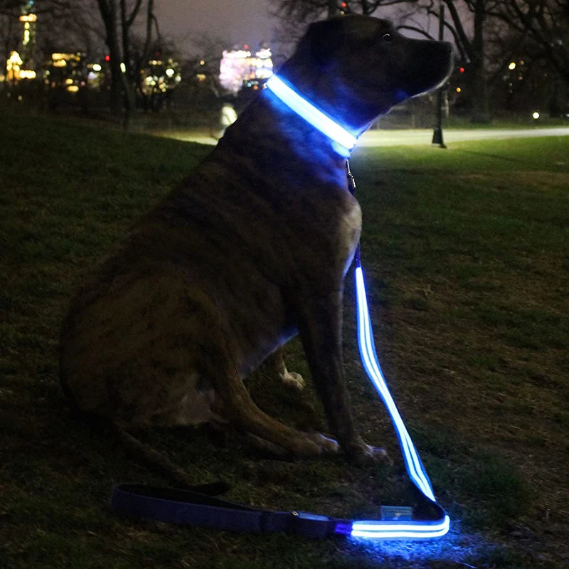 Adjustable Luminous Dog Collar LED Light up Leash Night Safety Pet Products Solid Nylon Lace Decoration Glowing Dark Cats Dogs