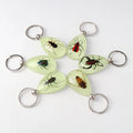 Glow in the Dark Insect Keychain Animal Taxidermy Sample Inside for Biology Resin Specimen Tear Drop Key Ring Chain Pendant