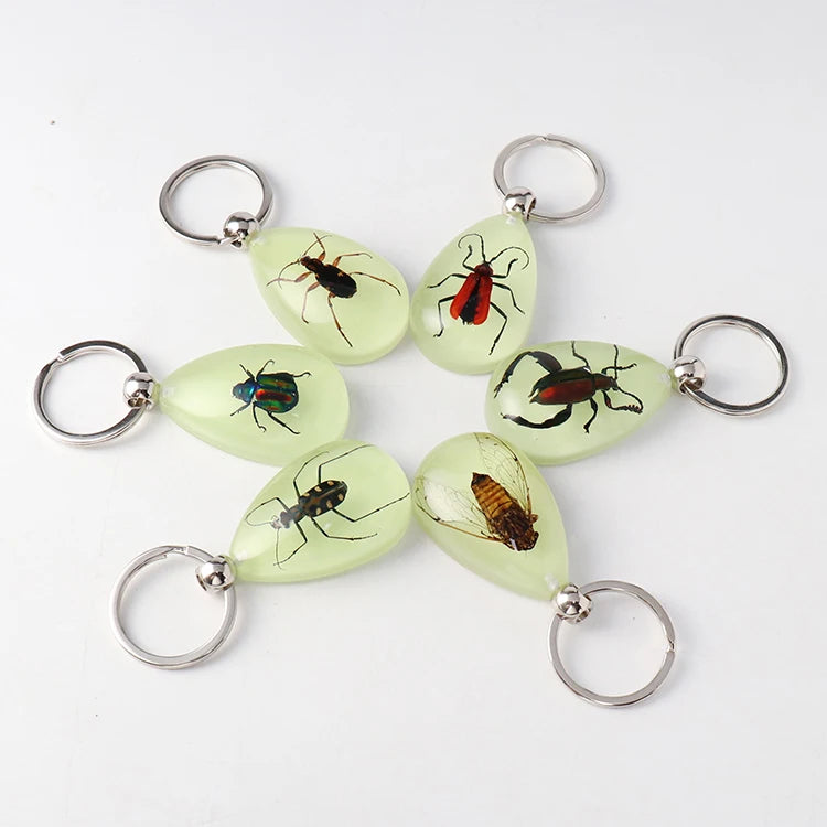 Glow in the Dark Insect Keychain Animal Taxidermy Sample Inside for Biology Resin Specimen Tear Drop Key Ring Chain Pendant