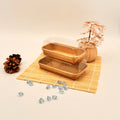 Hot Sale Serving Sushi Paper Tray W/PET Lid for Delivery Restaurant Ready togo Packing