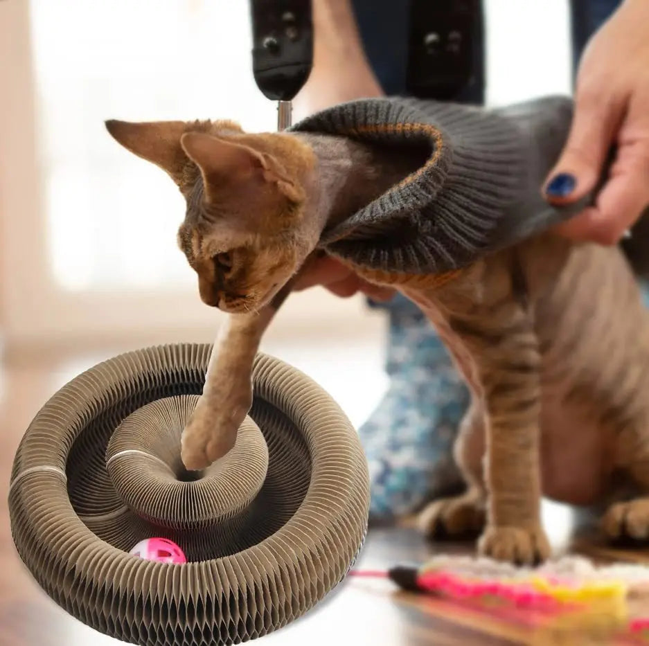 Wholesale Folding Pet Scratch Board with Ball Durable Magic Organ Cat Scratching Board Toys for Cats
