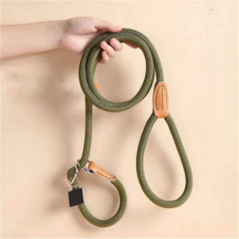 Outdoor Dog Training Collar Leash Dog Cat Rope Leashes Pet Dog Accessories