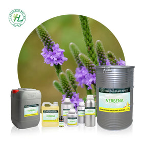 China Verbena Essential Oil for Skin Hair Diffuser -100% Pure Natural Plant Extract Steam Distilled | Bulk Price 1kg