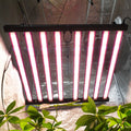 1060W 1000W Full Spectrum LED Grow Light for Indoor Farming Dual Channel Dimming Aluminum Body IP65 for Plant Growing Bloom