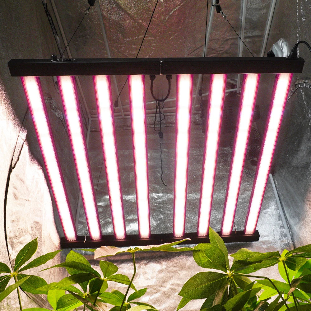 1060W 1000W Full Spectrum LED Grow Light for Indoor Farming Dual Channel Dimming Aluminum Body IP65 for Plant Growing Bloom