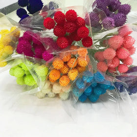 Liviflo Yunnan Dried Red Strawberry Flowers Gomphrena Globosa 50-60cm High-quality for Valentine's Day Floral Decoration