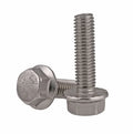 DIN6921 M8*20 Stainless Steel Hexagon Hexagonal Flange Head Bolt