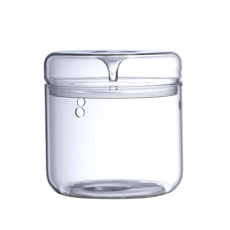 Dew Collection Glass  Mug Small Terra Glass Terrarium  Glass Geometric Terrarium Vase with Lid