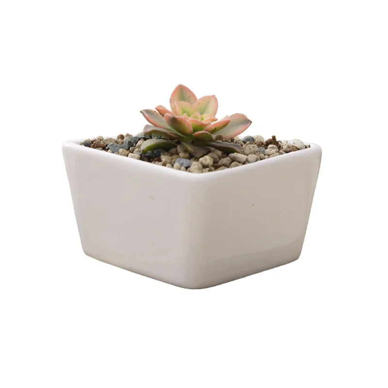 Competitive Price Triangle Shape Ceramic Succulent Planter Pot White Modern Decorative Tabletop Vase
